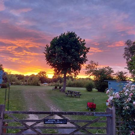 Hopgarden Glamping Luxury Shepherds Huts Wadhurst Kültér fotó