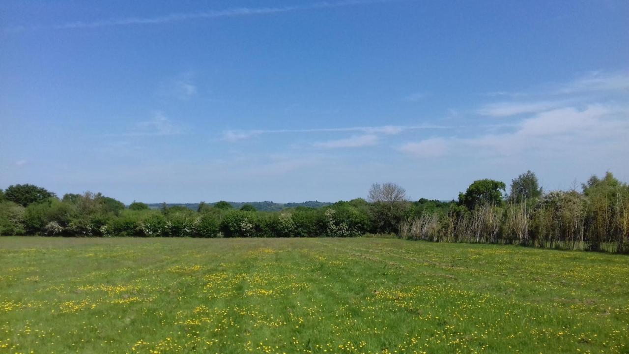 Hopgarden Glamping Luxury Shepherds Huts Wadhurst Kültér fotó