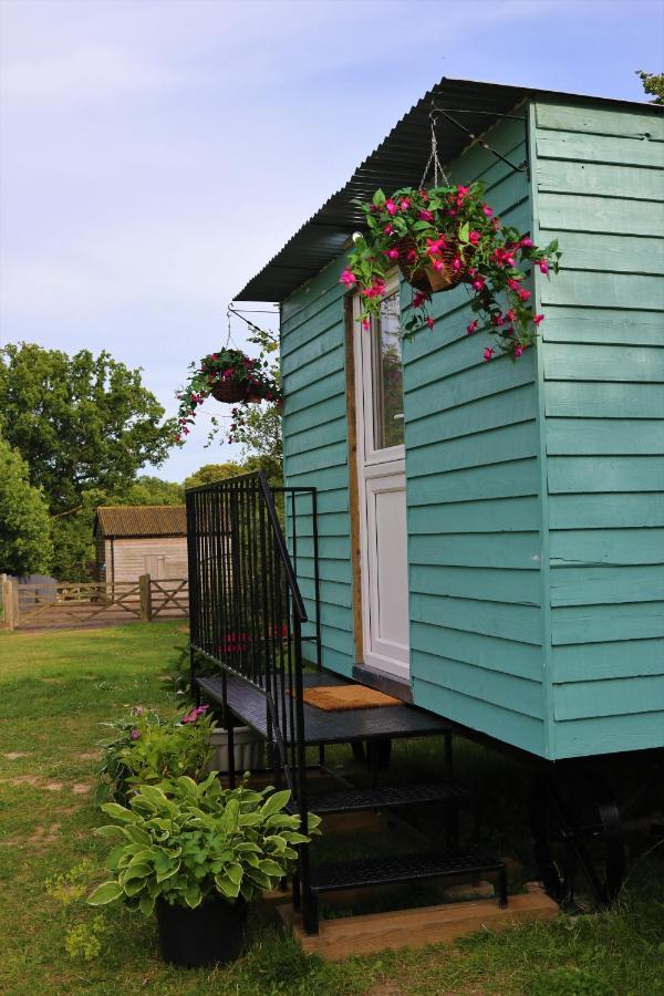 Hopgarden Glamping Luxury Shepherds Huts Wadhurst Kültér fotó