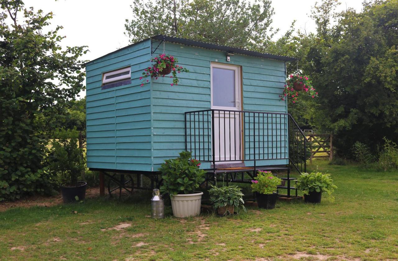 Hopgarden Glamping Luxury Shepherds Huts Wadhurst Kültér fotó