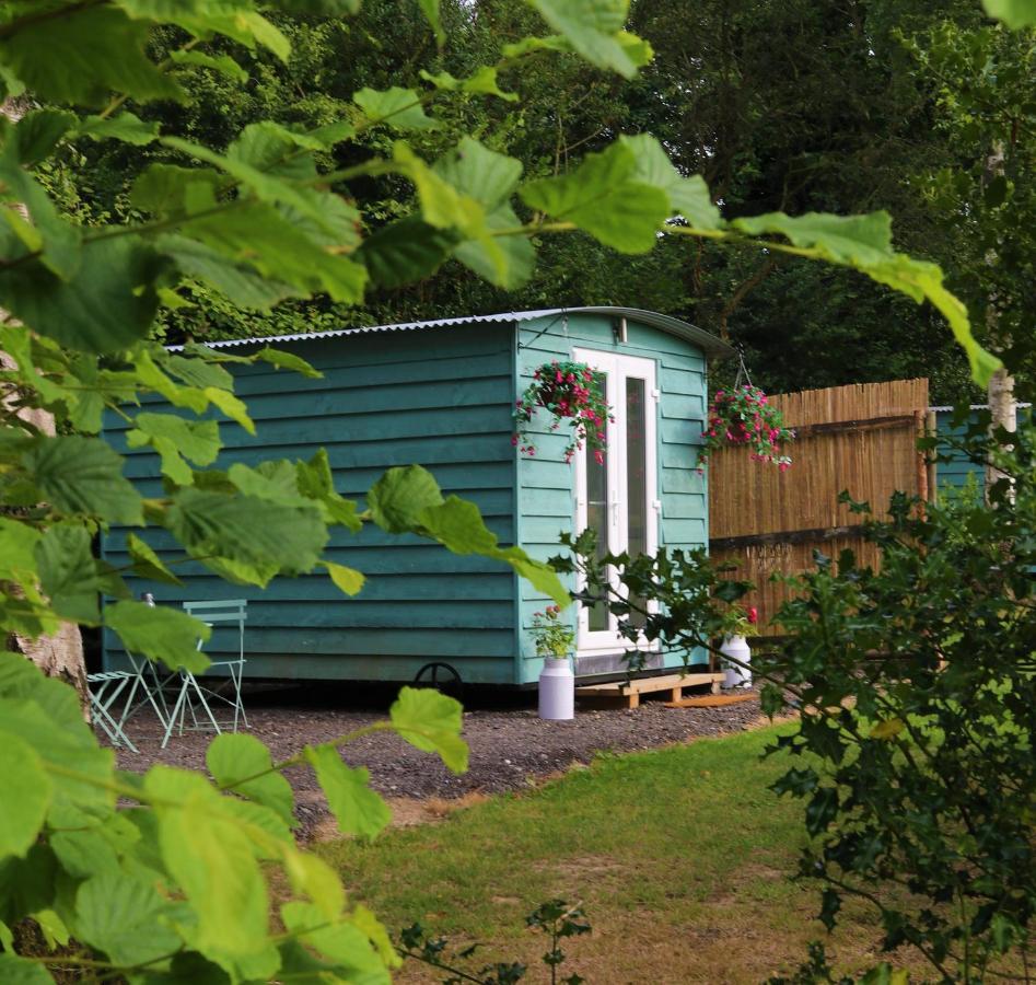 Hopgarden Glamping Luxury Shepherds Huts Wadhurst Kültér fotó