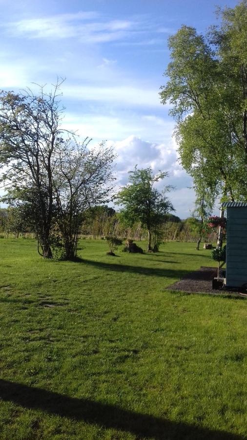 Hopgarden Glamping Luxury Shepherds Huts Wadhurst Kültér fotó
