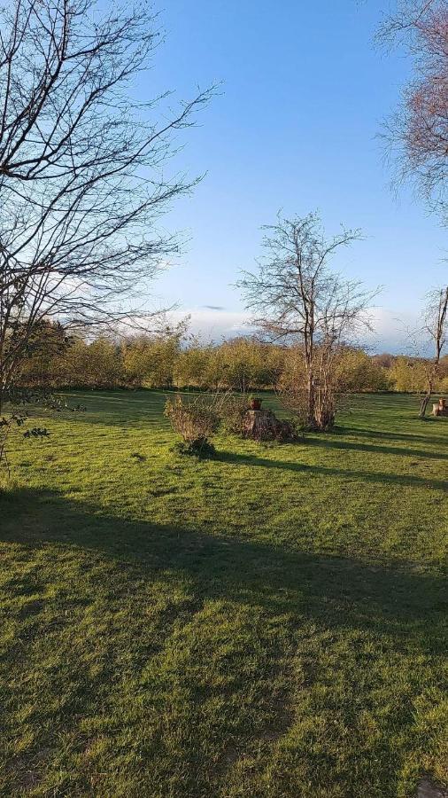 Hopgarden Glamping Luxury Shepherds Huts Wadhurst Kültér fotó