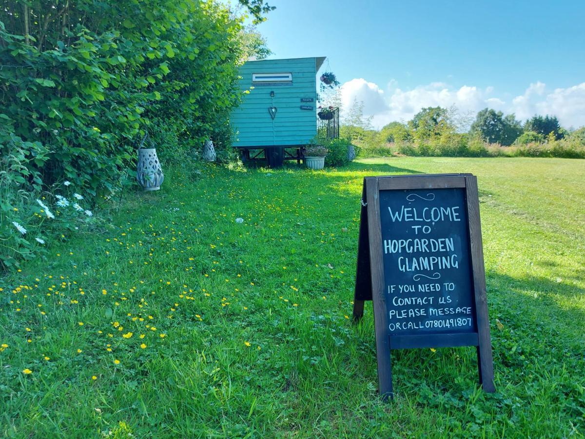 Hopgarden Glamping Luxury Shepherds Huts Wadhurst Kültér fotó