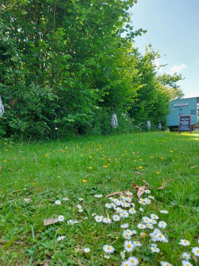 Hopgarden Glamping Luxury Shepherds Huts Wadhurst Kültér fotó